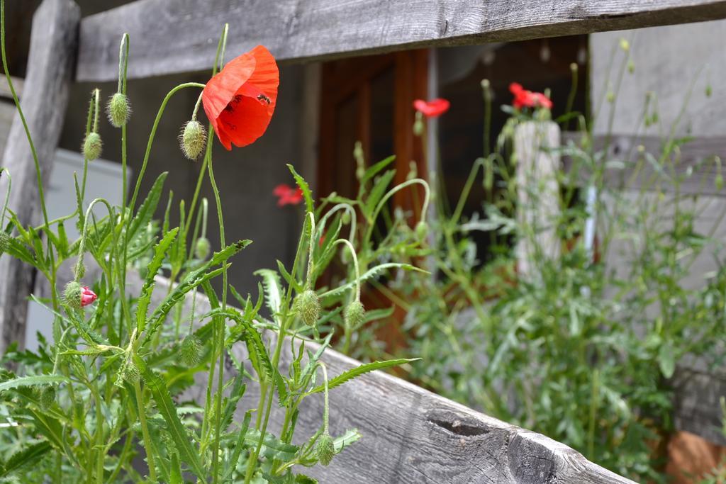 Holiday Farmhouse Skvor Robidisce Buitenkant foto
