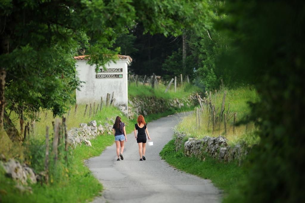 Holiday Farmhouse Skvor Robidisce Buitenkant foto