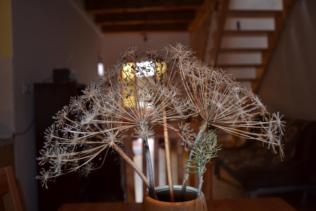 Holiday Farmhouse Skvor Robidisce Buitenkant foto